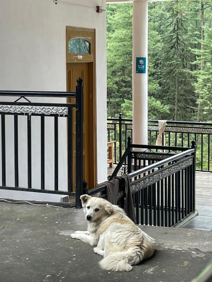 Wabi Sabi Riverside Hostel カソル エクステリア 写真